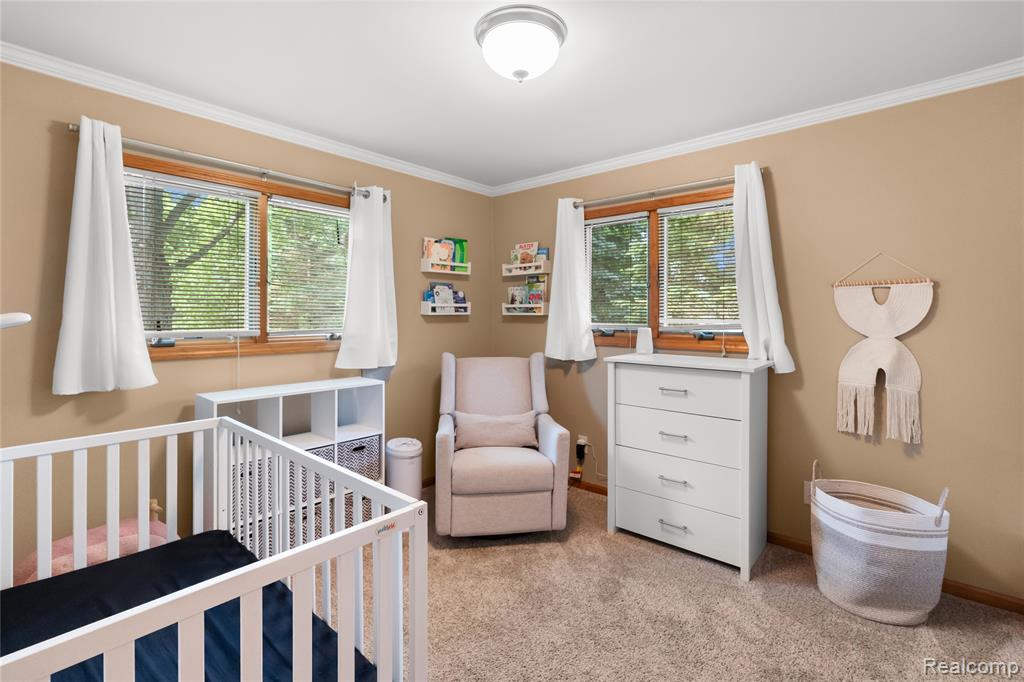1055 E Hollywood Boulevard, Clio, MI 48420 — Photo 49
