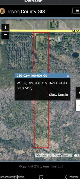 8109 M 55, Whittemore, MI 48770 — Photo 26