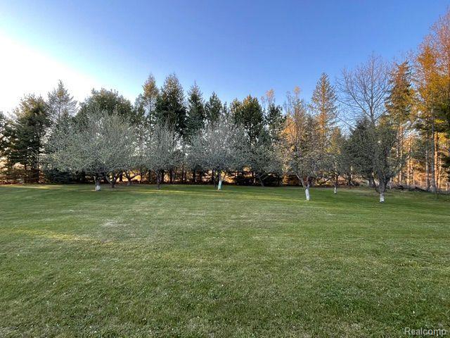 4629 E CLARK Road, Harrisville, MI 48740 — Photo 34