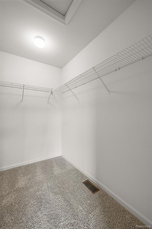 51794 Maple Leaf Drive, Macomb, MI 48042 — Photo 17