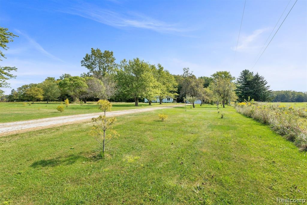 224 PALMS Road, Wales, MI — Photo 4