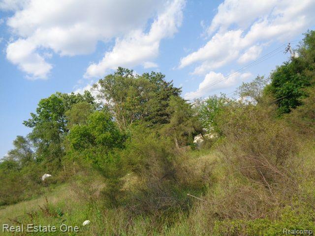 14852 WYOMING Street, Detroit, MI 48238 — Photo 6