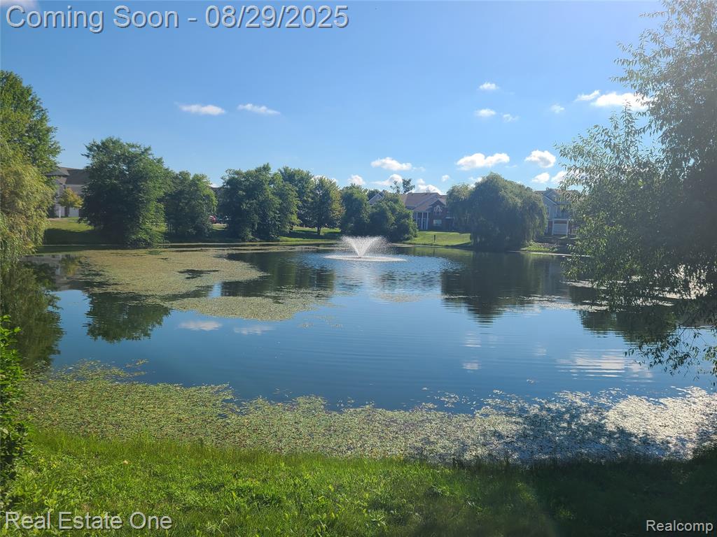 16010 Morningside, 226, Northville, MI 48168 — Photo 20