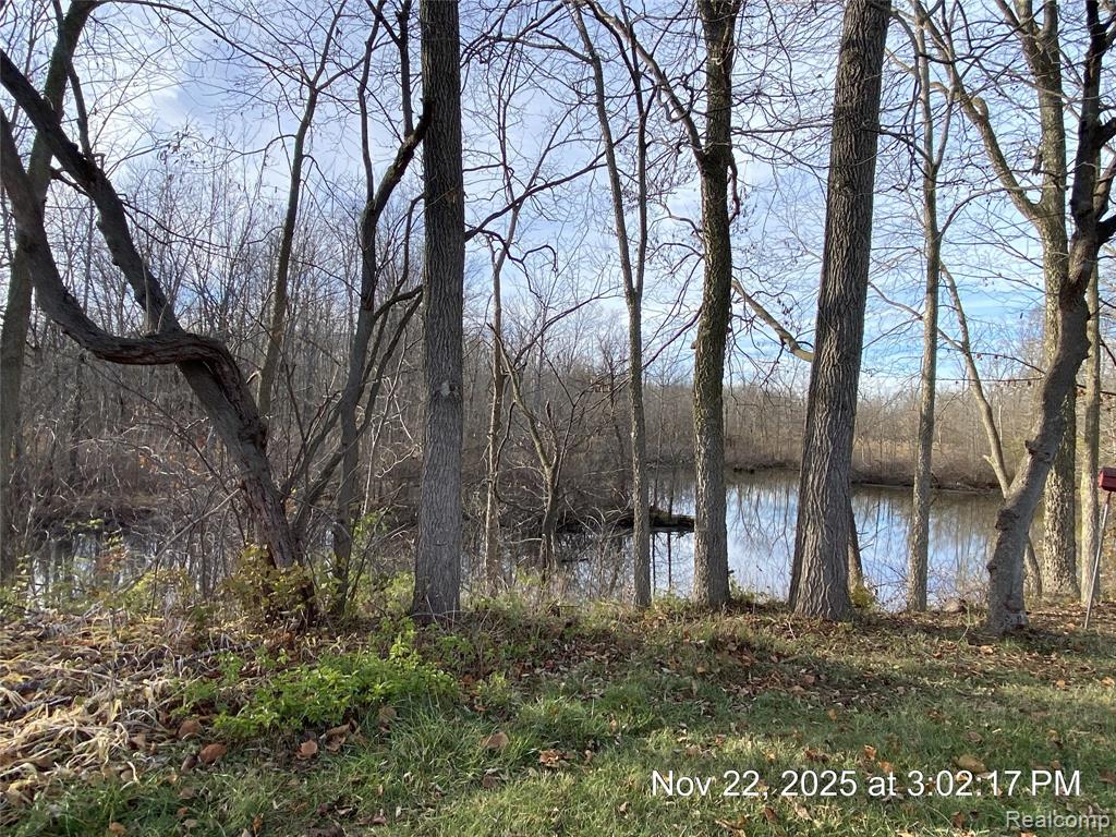 596 Yorkshire Sq. Square, 23, Milan, MI 48160 — Photo 14