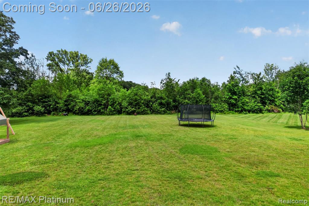 201 Mystic Meadows Court, Howell, MI 48843 — Photo 54