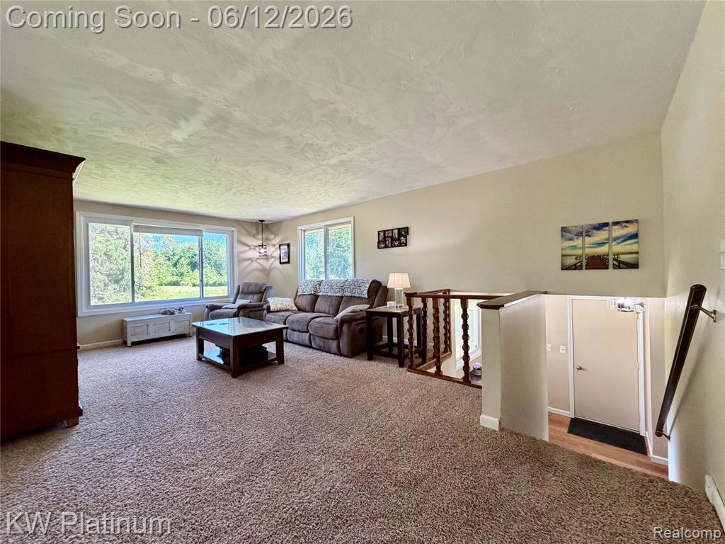 4059 Galbraith Line Road, Croswell, MI 48422 — Photo 5
