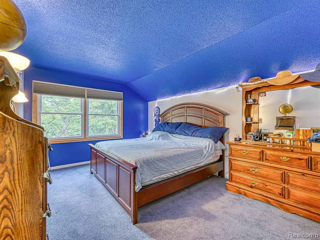 6655 Gove Court N, Tecumseh, MI 49286 — Photo 19