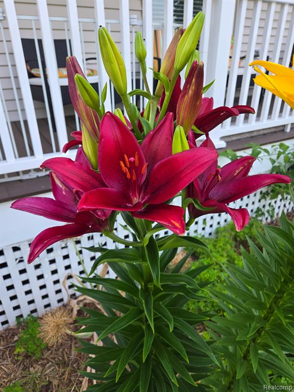 6158 S Fulton Street, Mayville Vlg, MI 48744 — Photo 62