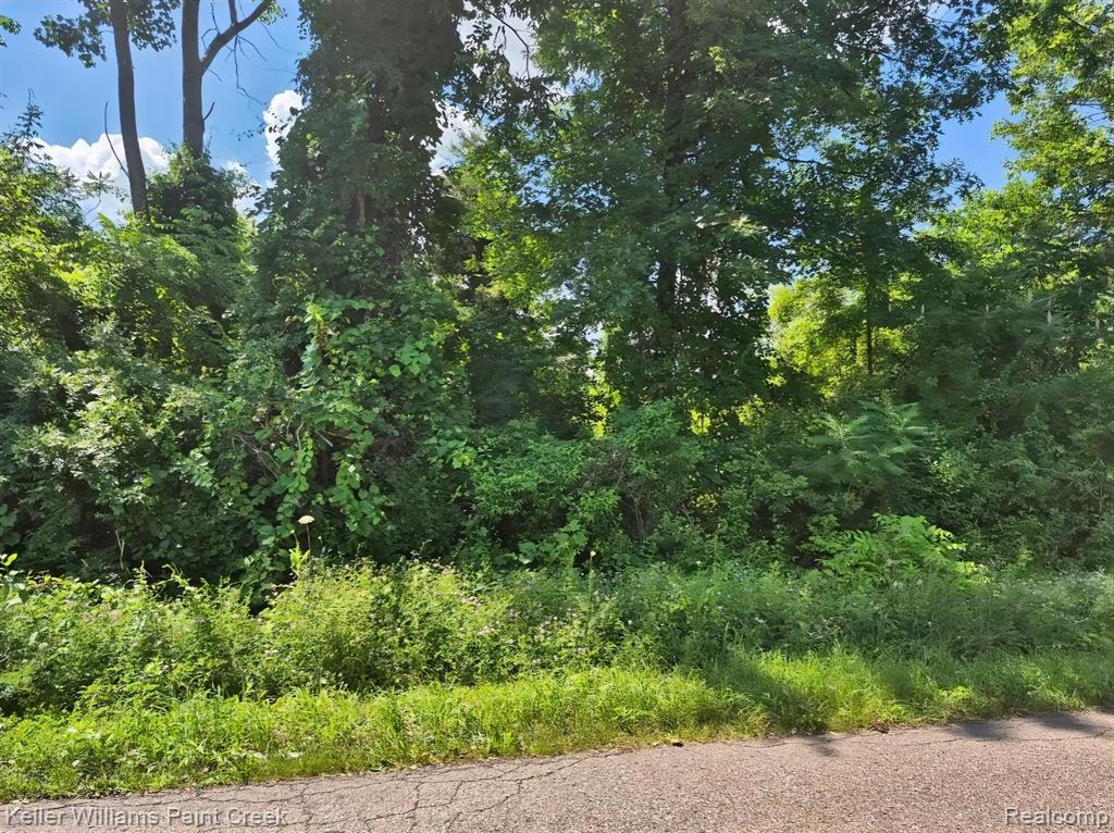 Vacant Bellman Avenue, Shelby Twp, MI 48316 — Photo 2
