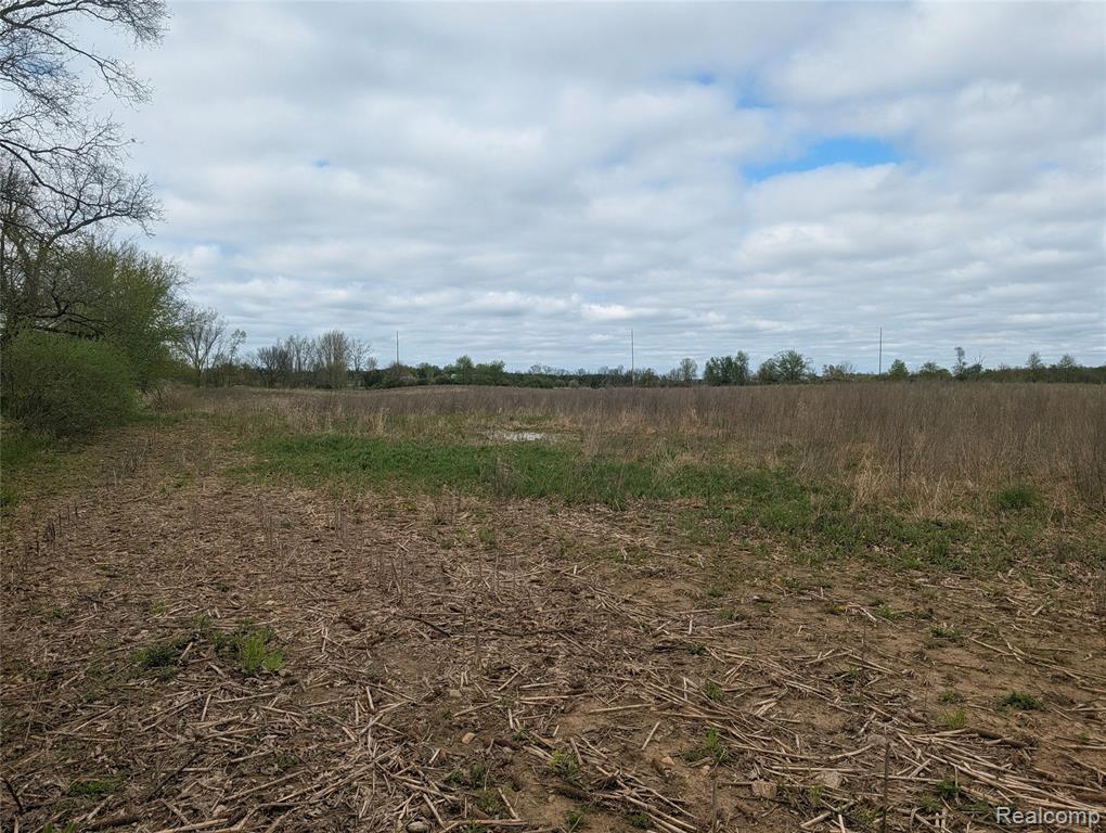 Parcel E Hogan Road, Linden, MI 48451 — Photo 9