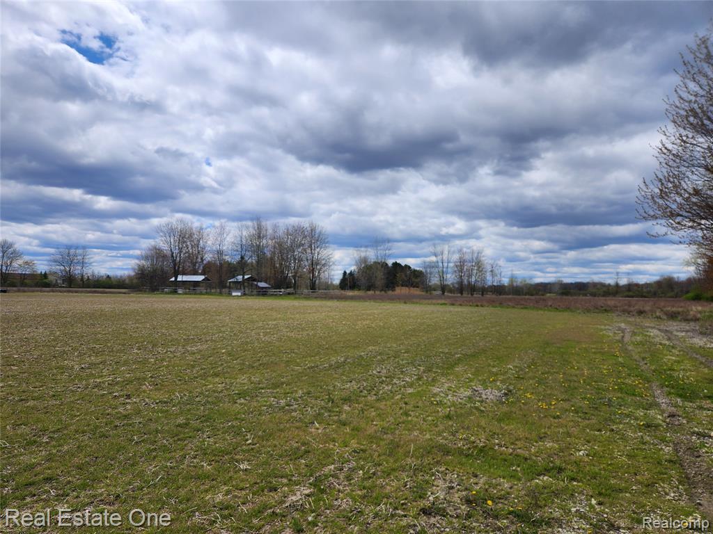 2320 Braidwood Road, Riley, MI — Photo 20