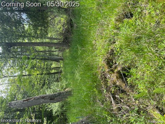 4148 Blue Vista Drive, Evart, MI 49631 — Photo 21