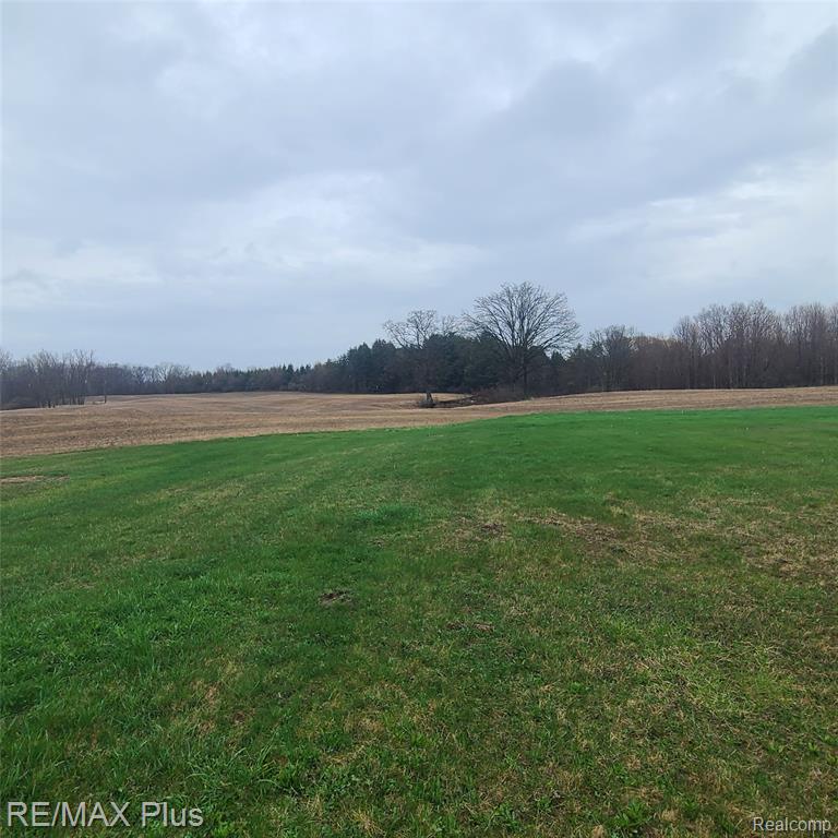 7931 Clear Lake Road, Brown, MI 48416 — Photo 12