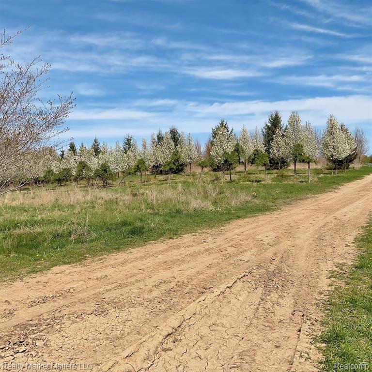 5770 Denhoff Road, Kingston, MI 48741 — Photo 3