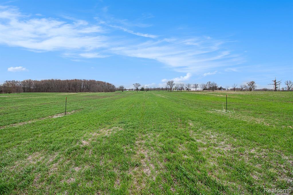 VL Parcel 2 Mohrle Road, Fowlerville, MI 48836 — Photo 12