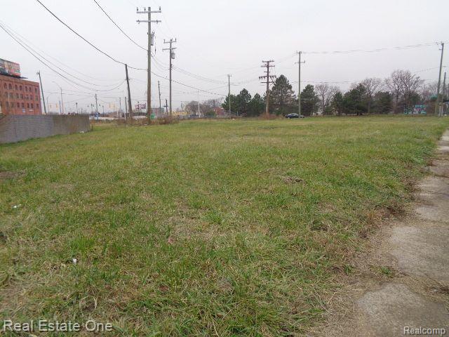 5230 LINWOOD Street, Detroit, MI 48208 — Photo 4