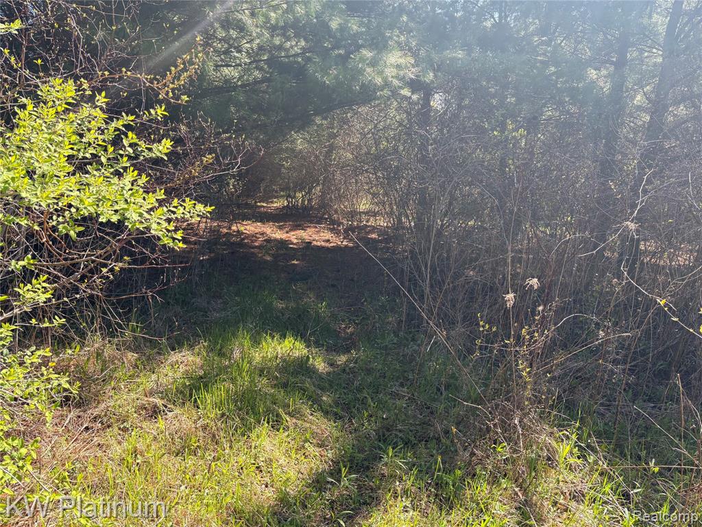 Parcel B Wicha Drive, Burtchville, MI 48059 — Photo 7