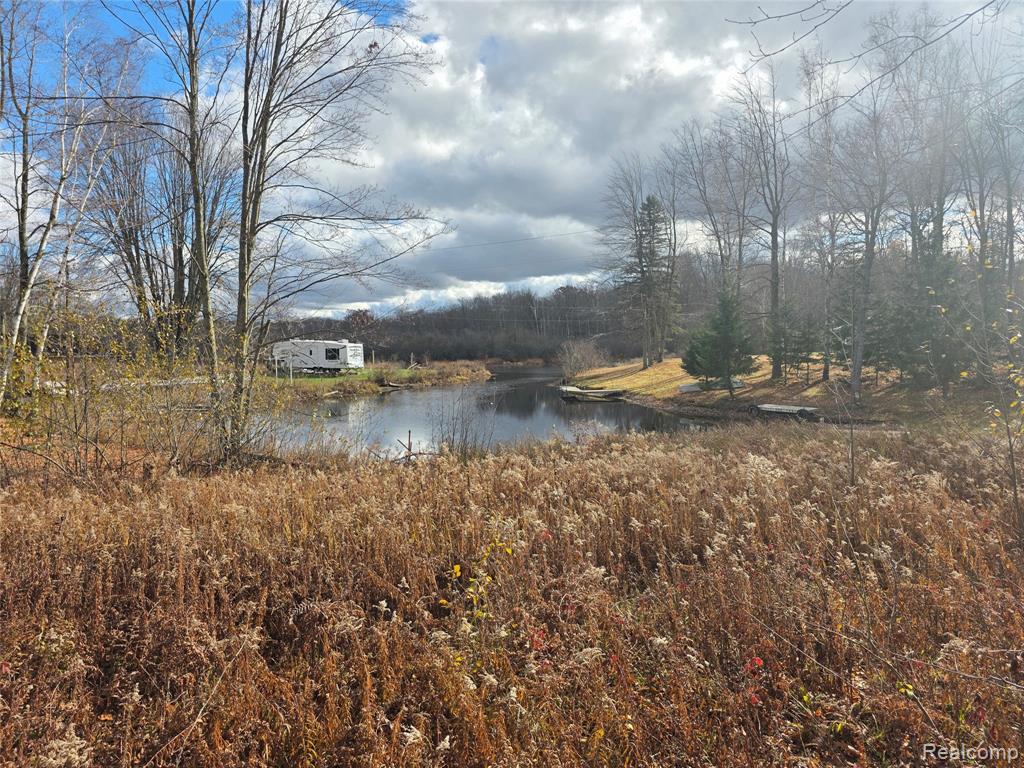 VL Birch Road, Evart, MI 49631 — Photo 4