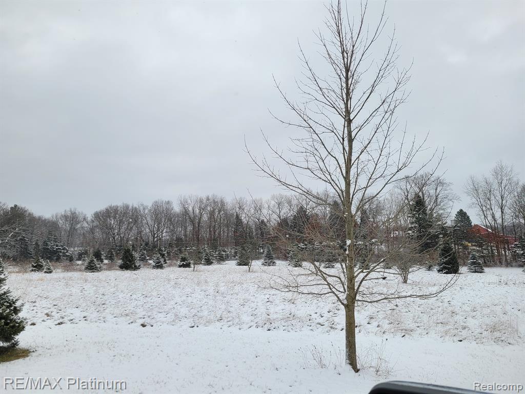 Parc B Tipsico Lake Road, Hartland, MI 48353 — Photo 19