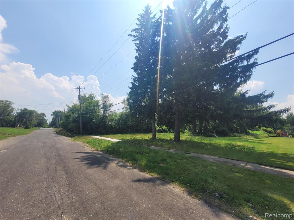 9585 IRIS Street, Detroit, MI 48227 — Photo 3