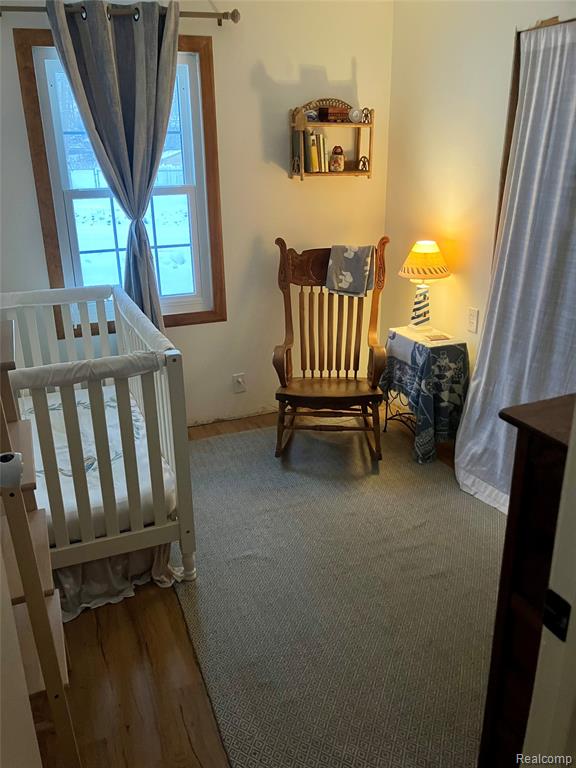 41 Charles Street, Hillsdale, MI 49242 — Photo 11