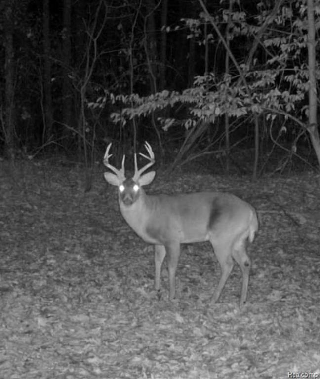 VL Grand Blanc Road, Swartz Creek, MI 48473 — Photo 12