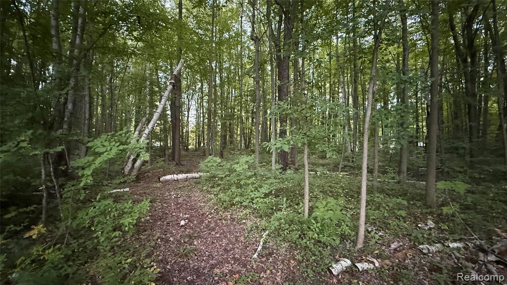 4528 N River Road, Clyde, MI 48049 — Photo 7