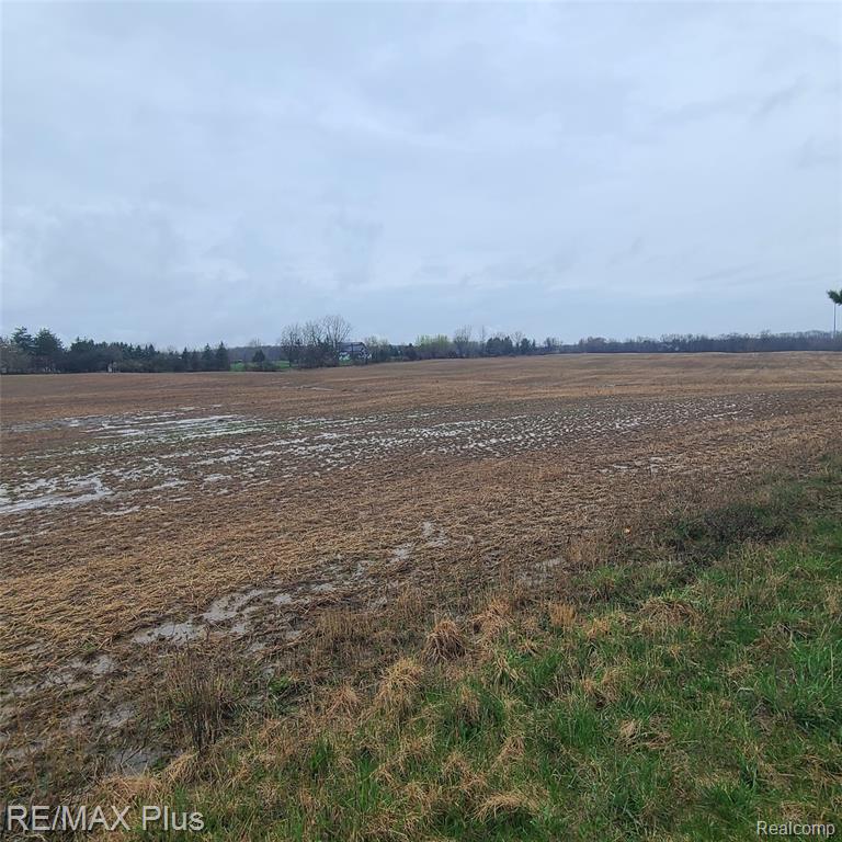 7931 Clear Lake Road, Brown, MI 48416 — Photo 14