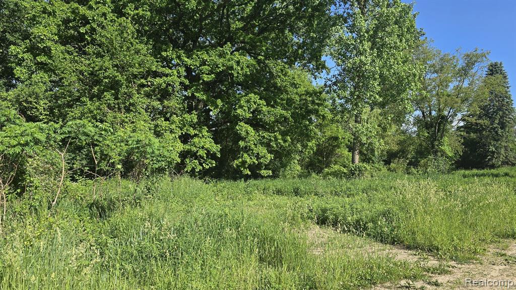 4545 Dexter Pinckney, Dexter, MI 48130 — Photo 10