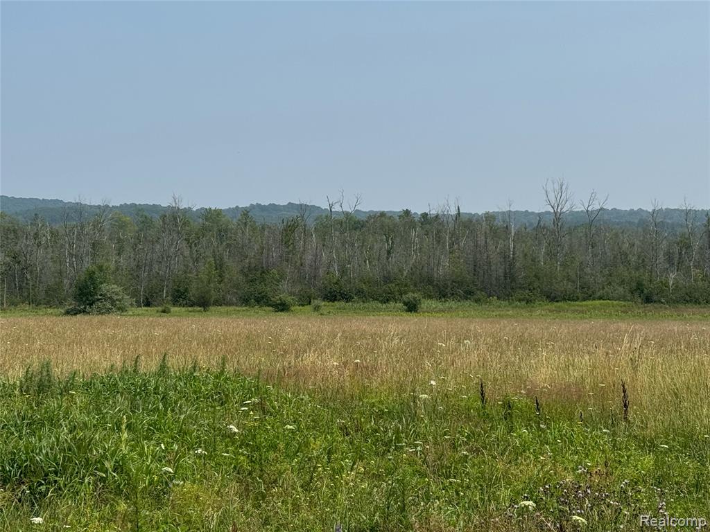 4266 Glovers Lake Road, Arcadia, MI 49613 — Photo 2