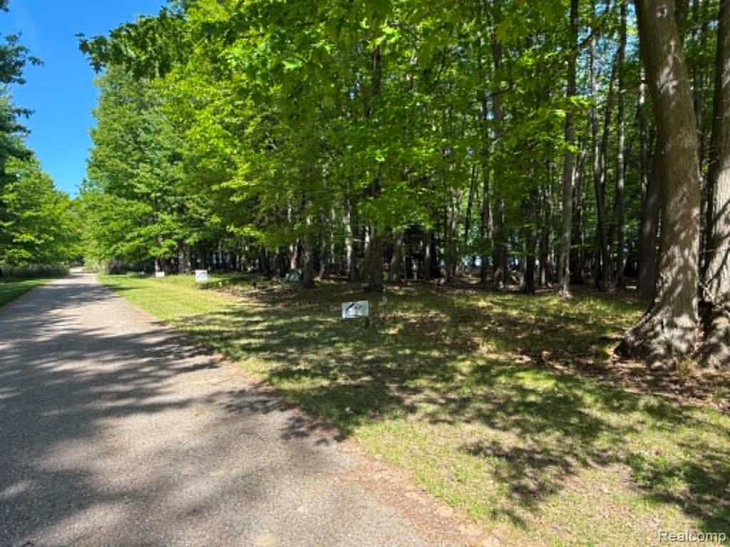 Lot 16 Towering Oaks Drive, Port Austin, MI — Photo 4