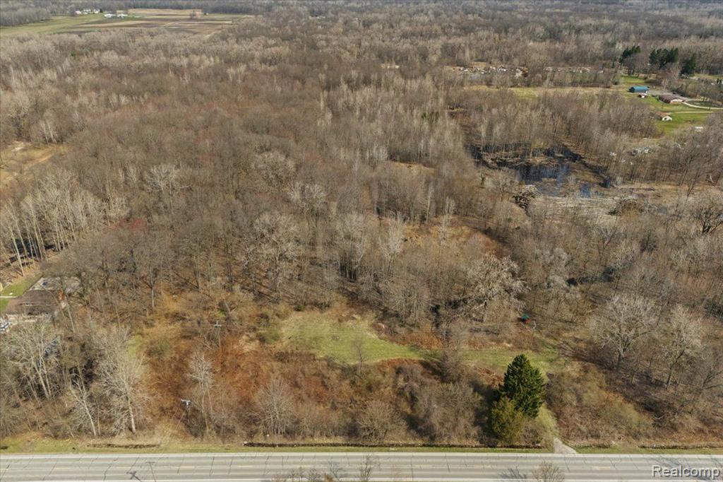 5278 OAKVILLE WALTZ Road, New Boston, MI 48164 — Photo 3