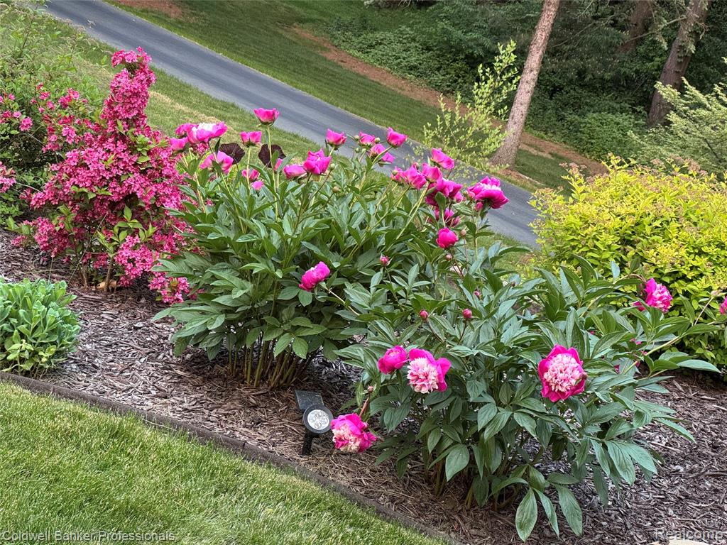 3940 Dexter Ann Arbor Road, Ann Arbor, MI 48103 — Photo 52