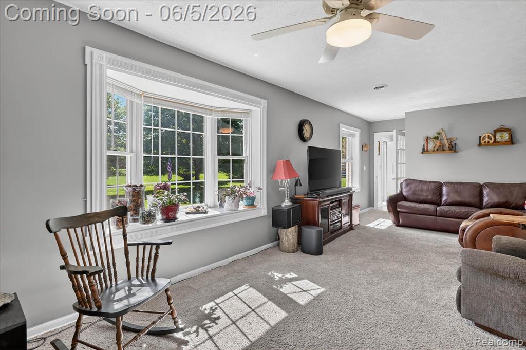 111 N Haywood Road, Webberville, MI 48892 — Photo 5
