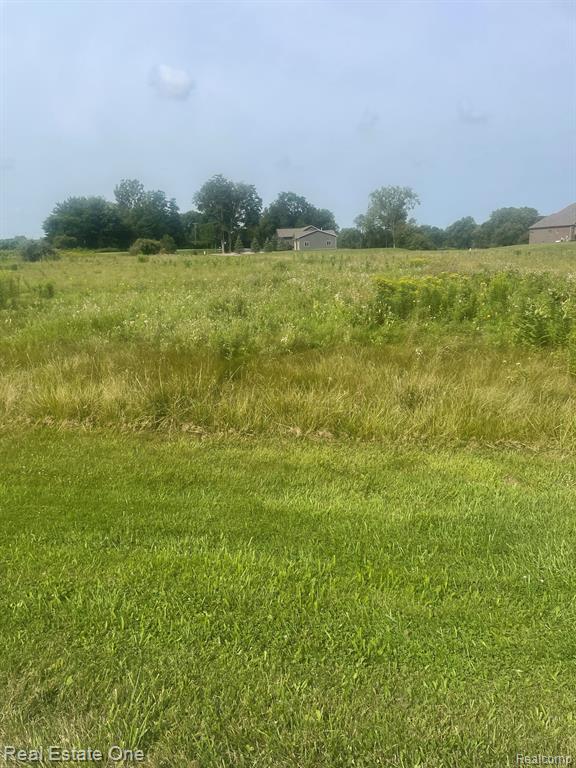 Parcel 2 Deerfield Meadows, Almont, MI 48003 — Photo 3