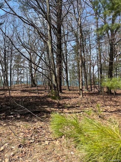 5271 Lake Breeze Drive, Pentwater, MI 49449 — front exterior