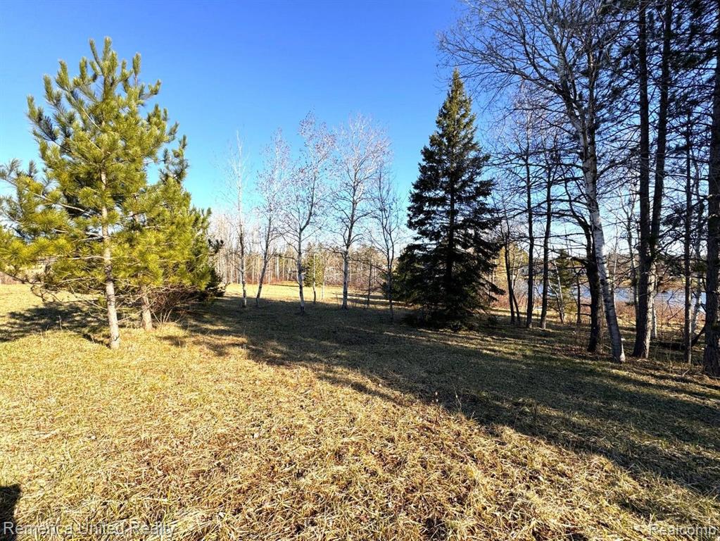 4052 S RIVER Road, Cheboygan, MI 49721 — Photo 14
