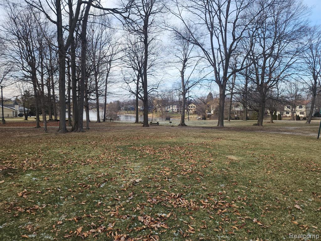 22842 RENFORD Street, Novi, MI — Photo 43