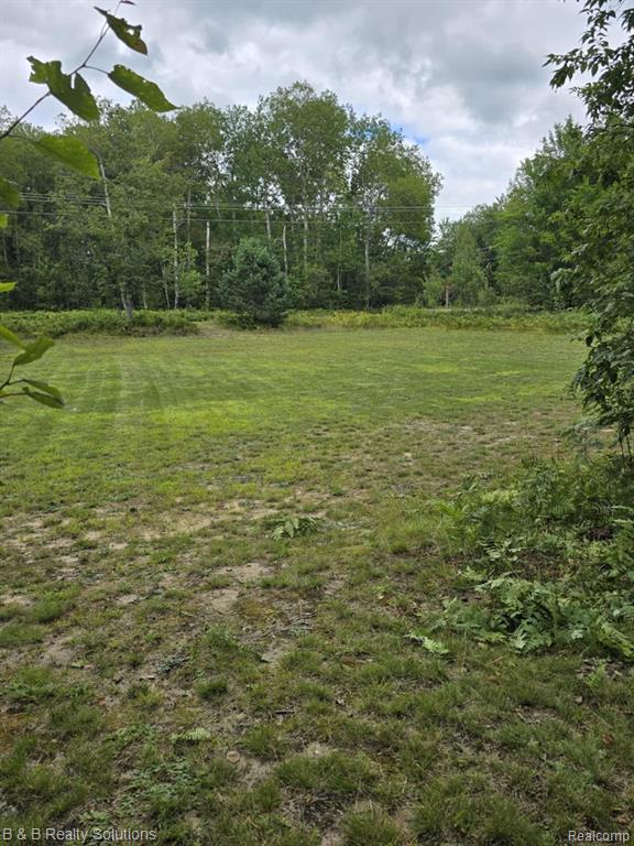 6961 PINEVIEW Drive, Mancelona, MI 49659 — Photo 23