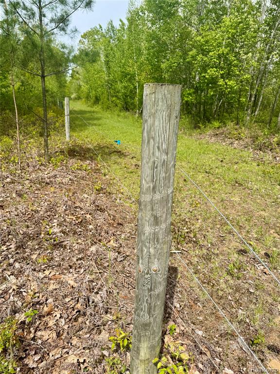 499 E Winegars Road, Gladwin, MI 48624 — Photo 13