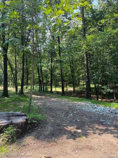 4 Sleaford-Parcel 4 - 32.92 Acres Road, Howell, MI 48843 — Photo 33