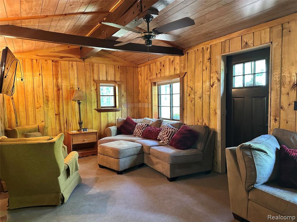 73 Massie Drive, Mio, MI 48647 — Photo 6