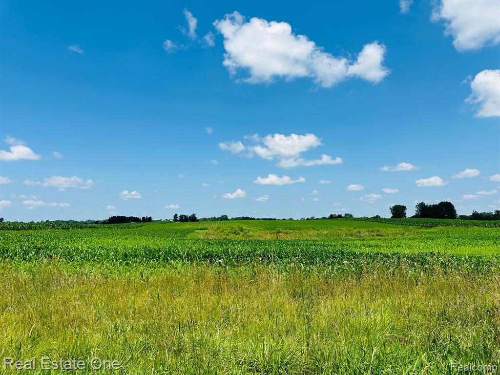 8691 PECK Road, Marlette, MI 48453 — Photo 5