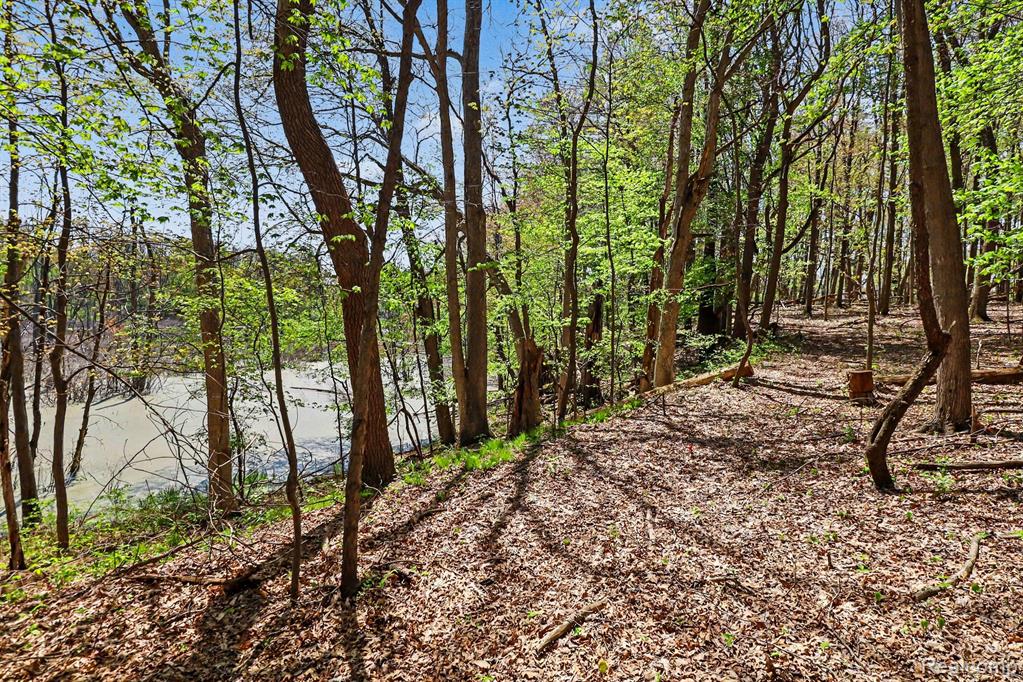 Parcel #3 Milford Rd, Holly, MI 48442 — Photo 15