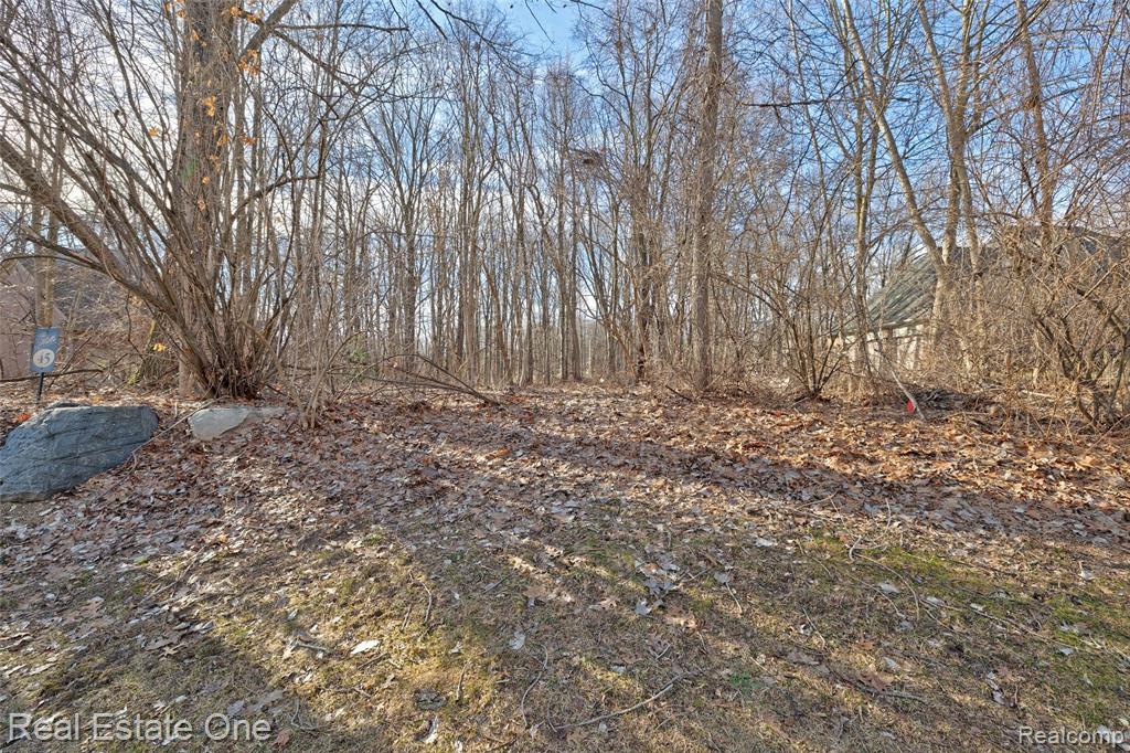 9889 Kingston Ridge, Clarkston, MI 48348 — Photo 20