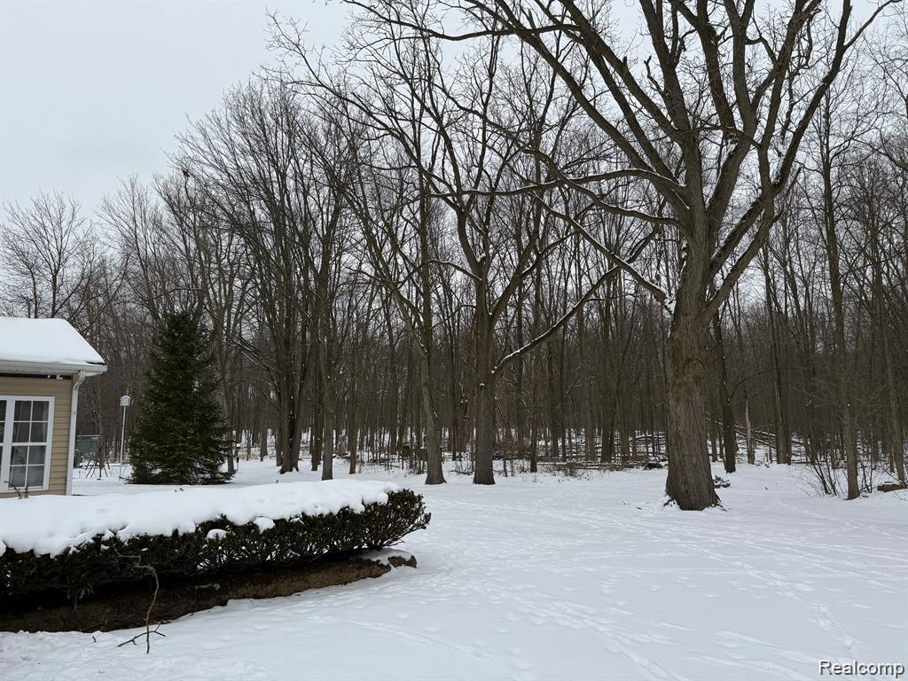 9693 BURNING TREE Drive, Grand Blanc, MI 48439 — Photo 61