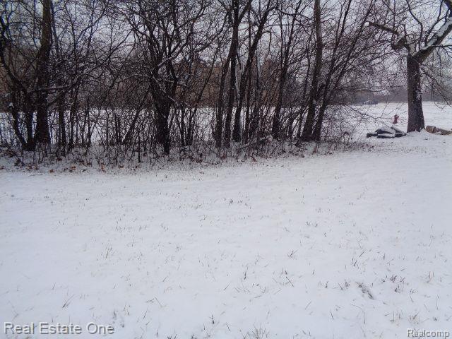 2691 ROCHESTER Street, Detroit, MI 48206 — Photo 18