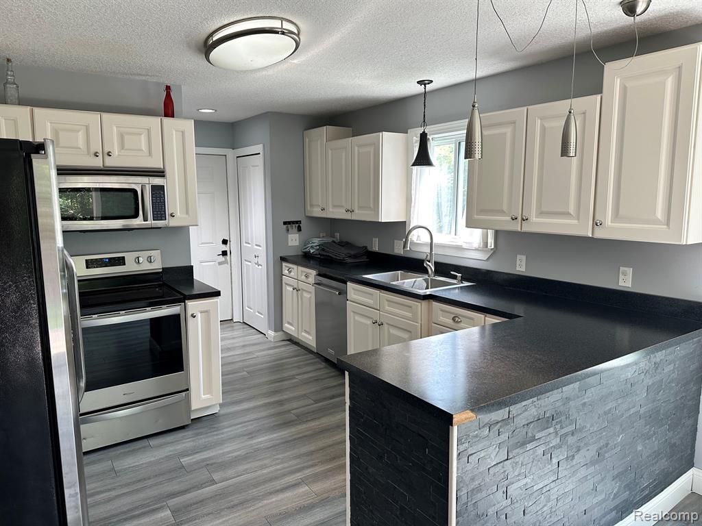 8029 SOUTHVIEW MEADOWS Drive, Mount Morris, MI 48458 — Photo 4