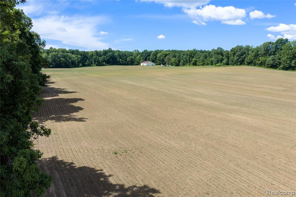 10069 Silver Lake Road, Linden, MI 48451 — Photo 11