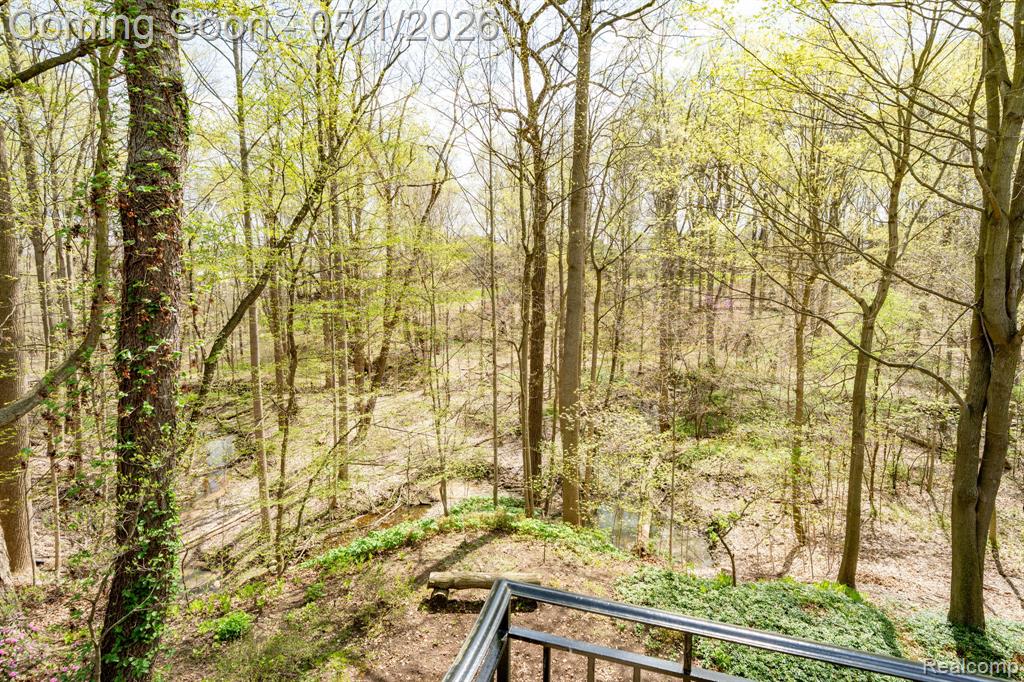 16612 Brooklane Boulevard, Northville, MI 48168 — Photo 54